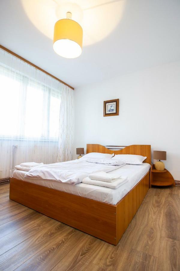 By The River Apartment 1 Τιμισοάρα Εξωτερικό φωτογραφία
