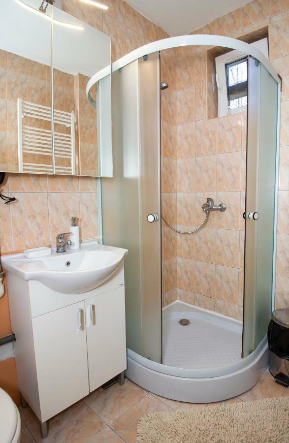 By The River Apartment 1 Τιμισοάρα Εξωτερικό φωτογραφία